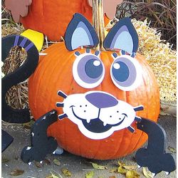 Halloween Cat Costume for a Pumpkin