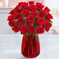2 Dozen Charming Red Roses in Red Vase