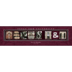 Framed Texas A and M University Architectural Elements Print