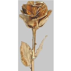 High Detail 12" Gold Dipped Rose