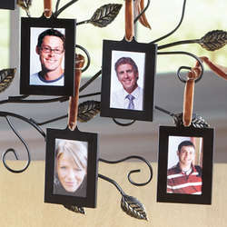 Personalized Set of 4 Additional Frames for Tree of Life