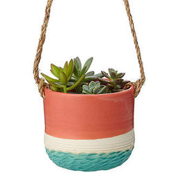 Carved Hanging Planter in Coral and Turquoise