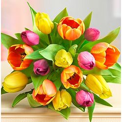 Delightful 30 Stem Tulip Bouquet