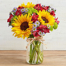 Colorful Sunflower Bouquet in Mason Jar