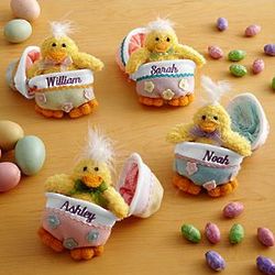 Personalized Baby Chick in Zippered Egg
