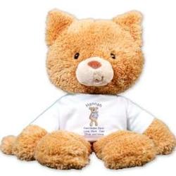 Personalized Get Better Soon Plush Fuzzy Cat