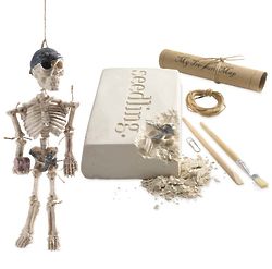 Kid's Pirate Skeleton Excavation Kit