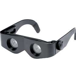 Bionic Glasses with Adjustable Magnification