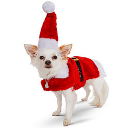 Dog's Santa Suit Outfit