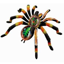 4D Vision Tarantular Spider Anatomy Model
