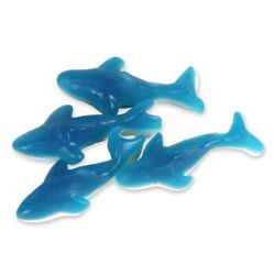 1 Pound of Blue Gummy Shark Candies