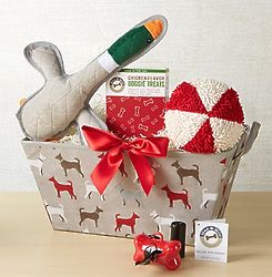 Dog Print Toy Gift Basket