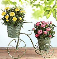 Bicycle of Blooms Planter