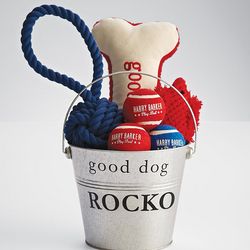 Canines for Veterans Dog Toy Bucket