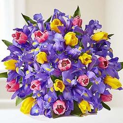 Deluxe Fanciful Spring Tulip and Iris Bouquet