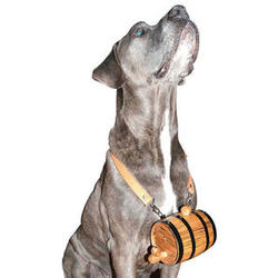 Barrel Dog Collar