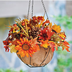 Sunflower Hanging Basket