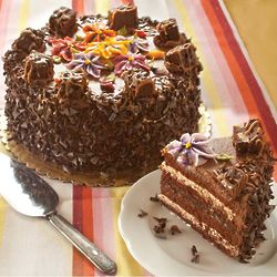 Chocolate Caramel Custard Layer Cake
