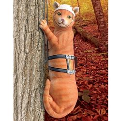 Tabby Cat Tree Climber