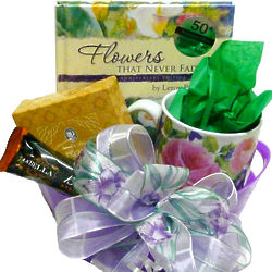 A Touch of Comfort Gift Basket