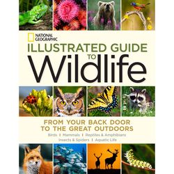 National Geographic Illustrated Guide To Wildlife Book