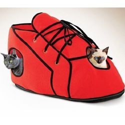Red Shoe Cat Playhouse