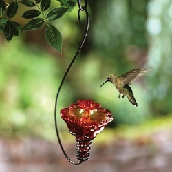 Mini-Blossom Gloria Hummingbird Feeder with Hanging Hook