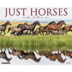 Just Horses Wall Calendar