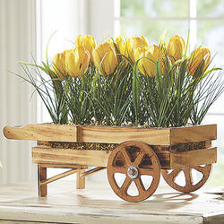 Tulip Flower Cart