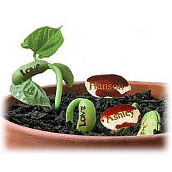 Personalized Plantable Magic Beans