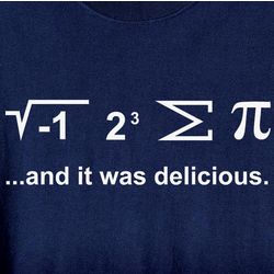 I Ate Some Pi and It Was Delicious Mathematical Equation T-Shirt