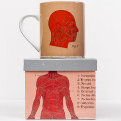 Muscular System Anatomical Mug