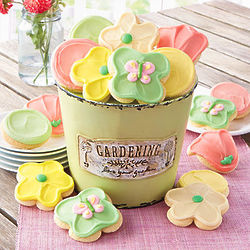 Garden Pot with Cookies