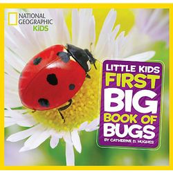 Little Kid's First Big Book of Bugs