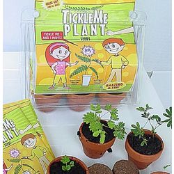 Deluxe TickleMe Plant Greenhouse Garden Kit