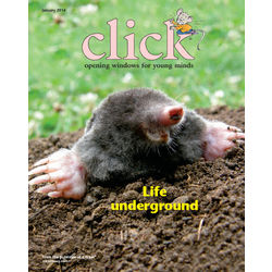 Click Magazine 9-Issue Subscription