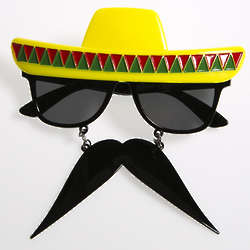 Fiesta Sun Stache Disguise