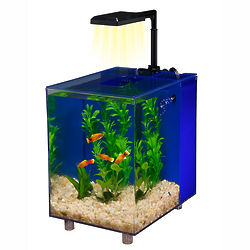 2 Gallon Nano Desktop Aquarium Kit