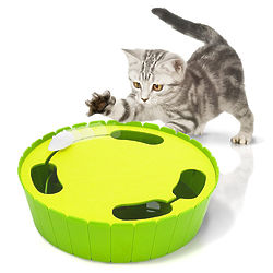 Hide and Seek Mouse Hunt Cat Toy