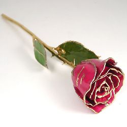 Personalized Valentine's Day 11" Star Ruby Gold Trimmed Rose
