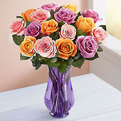 18 Stem Sorbet Rose Bouquet with Purple Vase