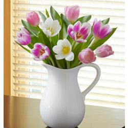 Pitcher Full of Tulips