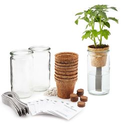 Organic Gardener's Seed Starter Pack