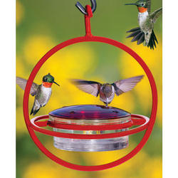 Circle Hummingbird Feeder