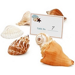 Seashell Placecard Holders