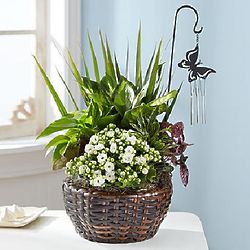 Butterfly Chime Dish Garden
