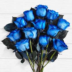 12 Long Stemmed Blue Moon Roses