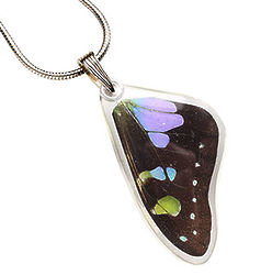 Purple Spotted Swallowtail Butterfly Wing Pendant