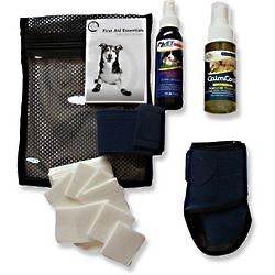 Healers Dog First Aid Essentials Kit