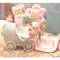 Bundle of Love Baby Gift Carriage in Blue